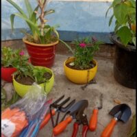 Garden Tool Kit (8 Tools) Pruner, Gloves, Scissor