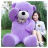 teddy bear soft toys