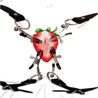 Adjustable Leather Labia Clit Clamp for Beginners