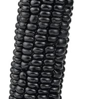 Realistic Corn Shape Dildo with Suction Cup